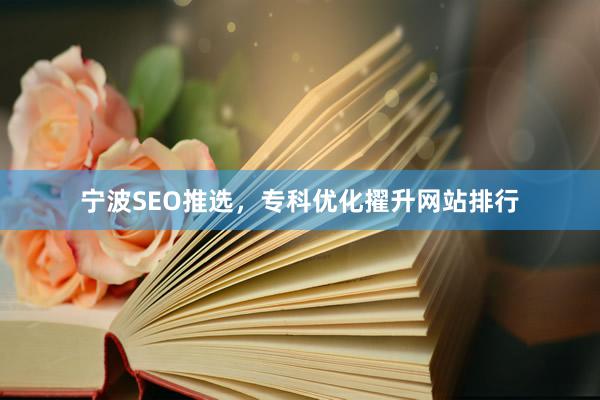 宁波SEO推选，专科优化擢升网站排行