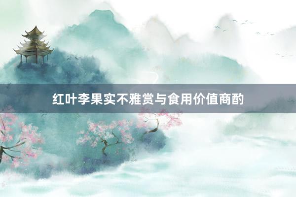 红叶李果实不雅赏与食用价值商酌